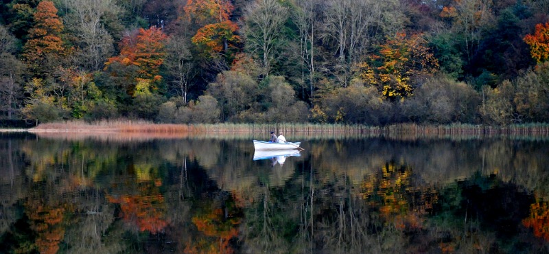 Contea di Monaghan