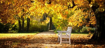 Autunno in Irlanda, dove vedere il foliage